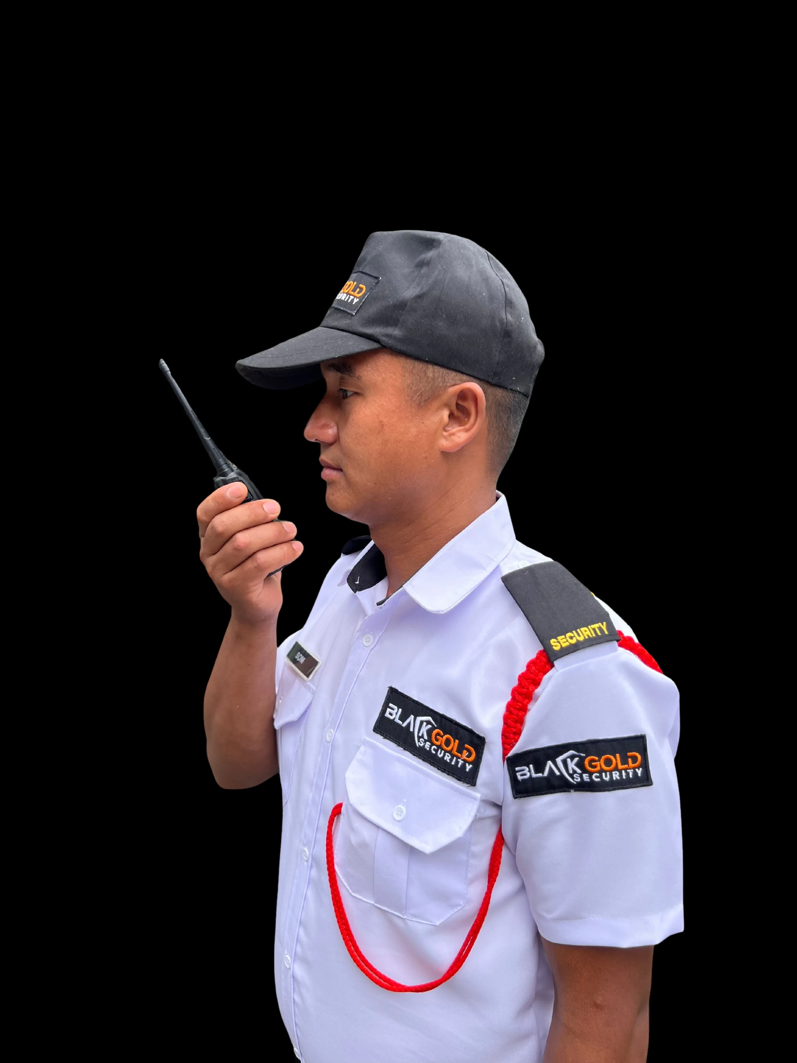Video surveillance monitoring by security professional
